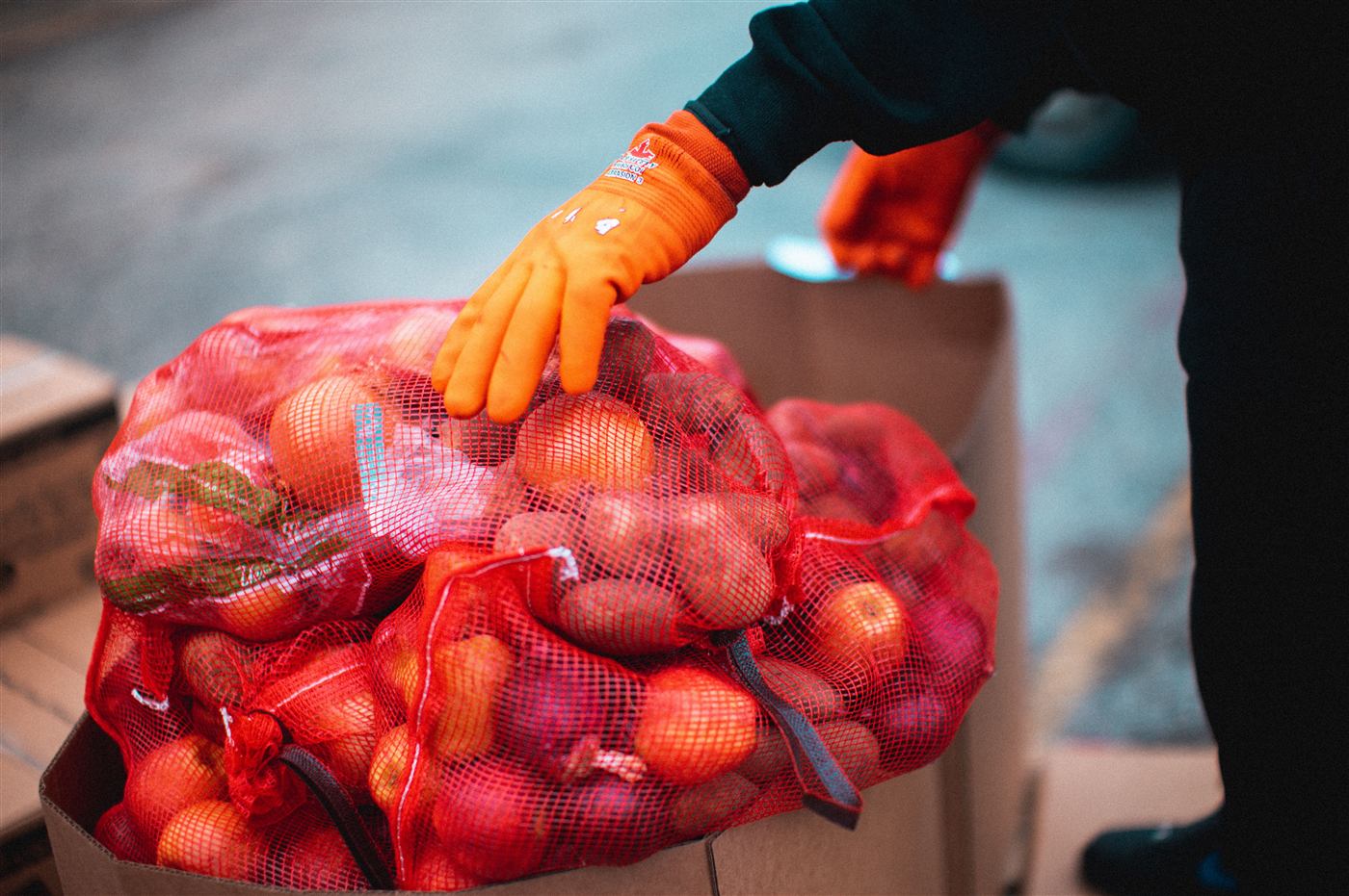Volunteer sorting rescued surplus produce